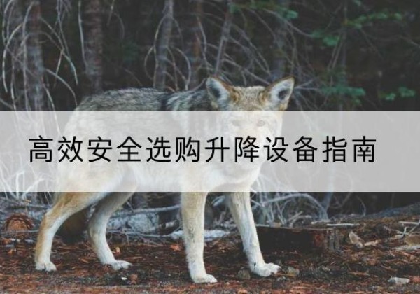 本溪升降货梯厂家推荐-*安全选购升降设备指南