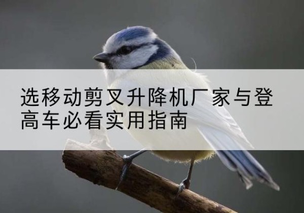 本溪电动升降机厂家-选移动剪叉升降机厂家与登高车必看实用指南